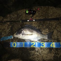 淀川ブリームゲーム お帰りなさい