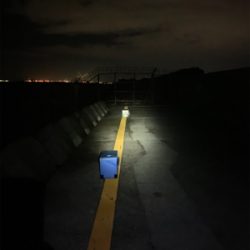 ぷりぷりサゴシ