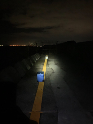 ぷりぷりサゴシ