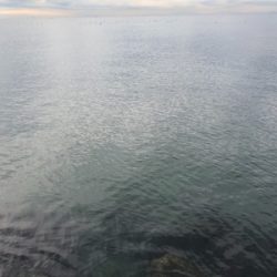 冬のデイシーバス!