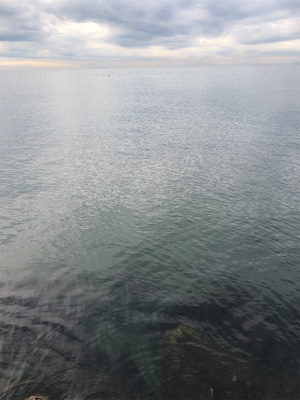 冬のデイシーバス!