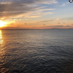 サゴシ ２本 とはならず