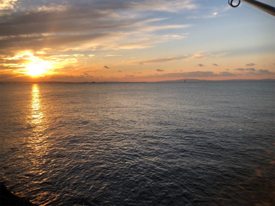 サゴシ ２本 とはならず