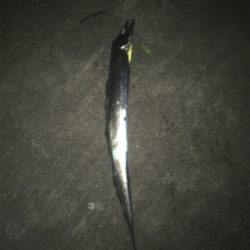 ドラゴンVSタッチポン