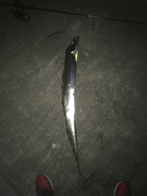 ドラゴンVSタッチポン