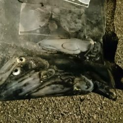 釣り初めての友人と夜釣りへ