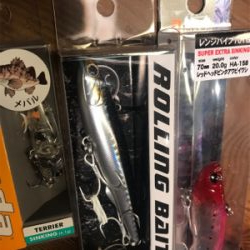 そんなところに。。。