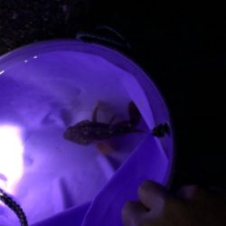 今シーズン釣り納め