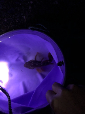 今シーズン釣り納め