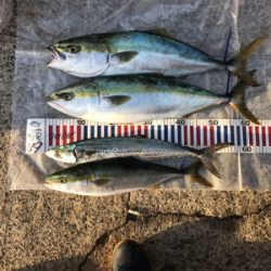 毎年恒例竿納ビッグファイター釣行