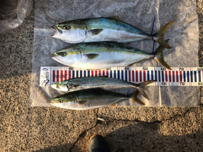 毎年恒例竿納ビッグファイター釣行