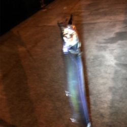 寒い中でのタッチーチャレンジ