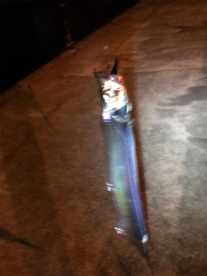 寒い中でのタッチーチャレンジ