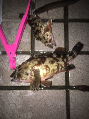 デカがしこ！！！！