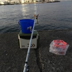 サビキ釣り朝は厳しかな！？