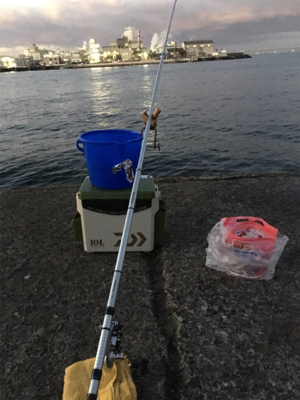 サビキ釣り朝は厳しかな！？