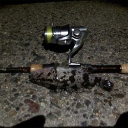 好釣果も災難な釣行