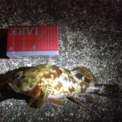 強風で寒かったです