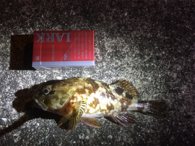 強風で寒かったです