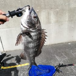 ヘチチヌ立て続けヒット