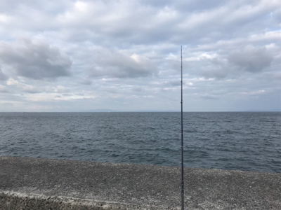 太刀魚、サゴシ