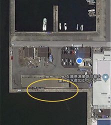 戻ってきたヒイカ☆GUNNING-STYLE