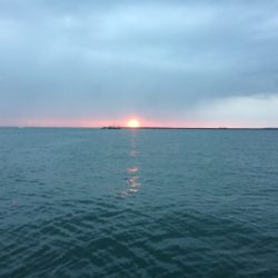 マリンピア沖洲でウキサビキ