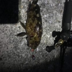 ハードロックフィッシュ練習2