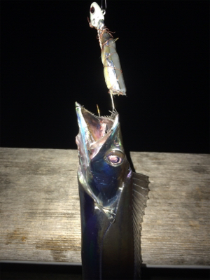 ドラゴン現れず