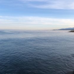 ショアジギング