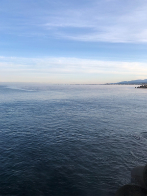 ショアジギング