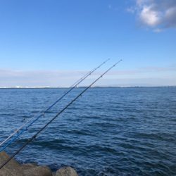 今年最後のカレイ狙い