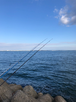 今年最後のカレイ狙い