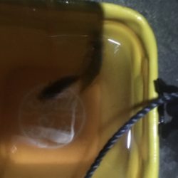 アジングで根魚も