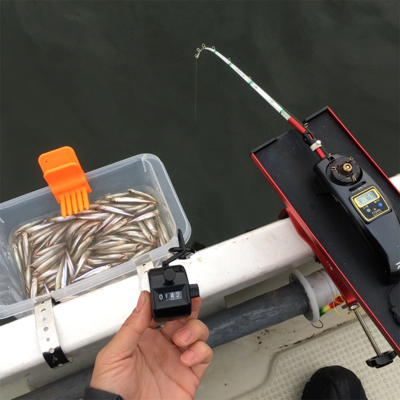 入鹿池 ワカサギ