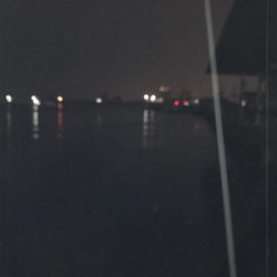 雨の中アジング