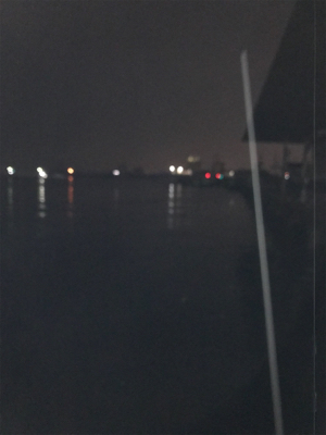 雨の中アジング