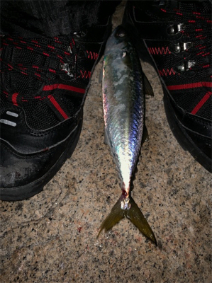 久々ライトゲーム