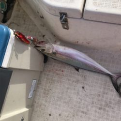 今年最後のマイボート 釣行