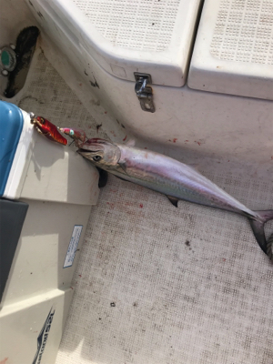 今年最後のマイボート 釣行