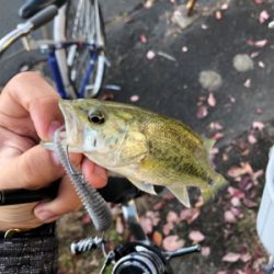 渋かった寒かった日