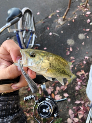 渋かった寒かった日