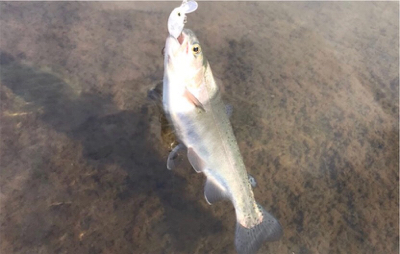 幼稚園児ルアー初釣果