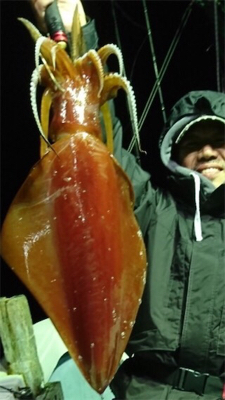 ジギング＆イカメタル