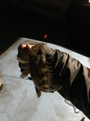 樋島ランガン虫ング