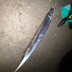 まったりタッチ〜チャレンジ