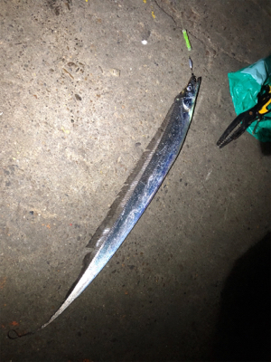 まったりタッチ〜チャレンジ