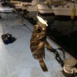 樋島ランガンリベンジ