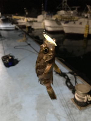 樋島ランガンリベンジ