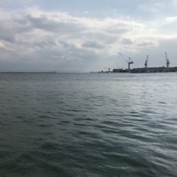 魚種限定解除！